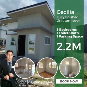 House For Sale In Pacol, Naga