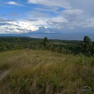 Land and Farm for sale in Argao