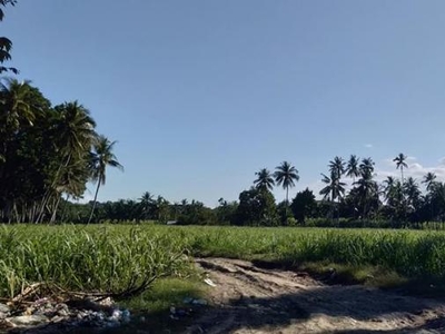 Land and Farm for sale in Danao