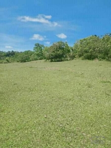 Land and Farm for sale in Tubigon