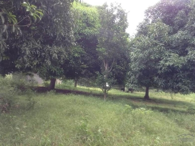 Land and Farm for sale in Ubay