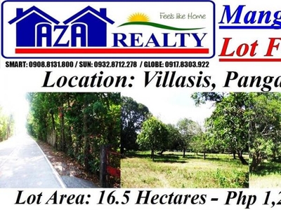 Land and Farm for sale in Villasis