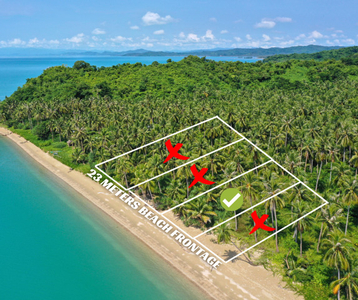 Lot For Sale In Narra, Roxas