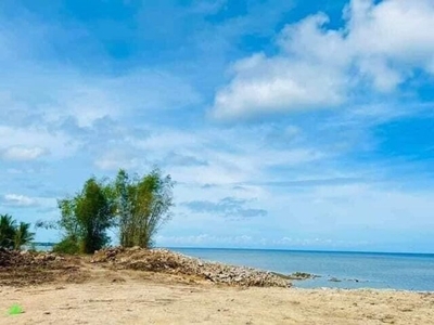 Lot For Sale In San Miguel, San Remigio