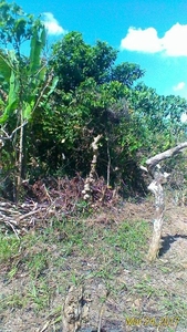 Plot of land amadeo cavite city For Sale Philippines