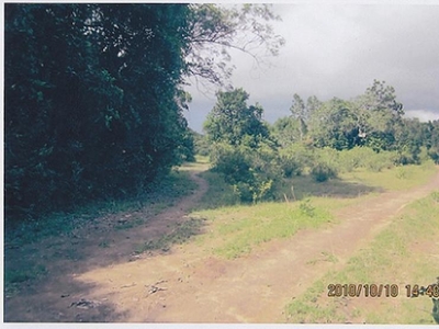 Plot of land Busuanga Palawan For Sale Philippines