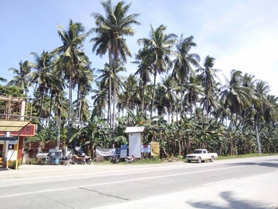 Plot of land Tagum For Sale Philippines