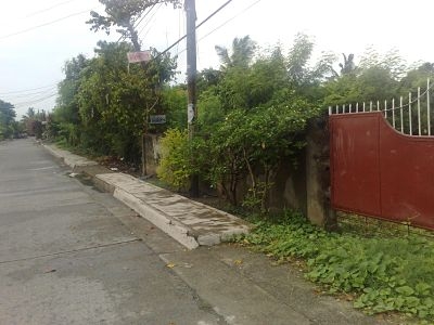 RESIDENTIAL LOT FOR SALE For Sale Philippines