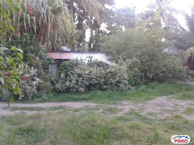 Residential Lot for sale in Dumaguete