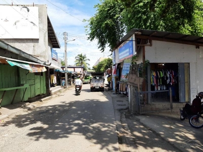 Commercial Lot for sale in Mandaue