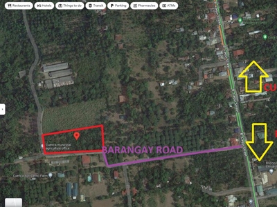 Agricultural Land for Sale at Brgy. Emmanuel, Cuenca, Batangas