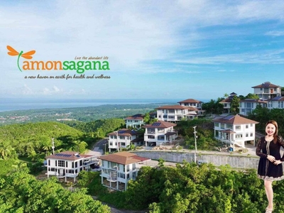 Move In Ready House and Lot for sale in Balamban, Cebu