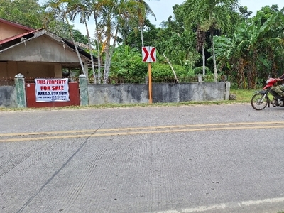 Lot For Sale In Libaong, Panglao