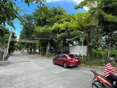 Lot For Sale In San Isidro, Paranaque