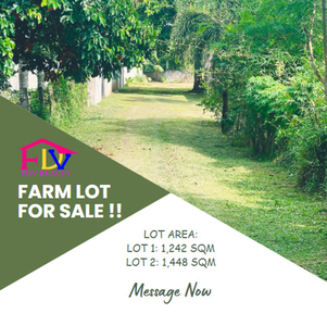 Lot For Sale In San Vicente, Canaman
