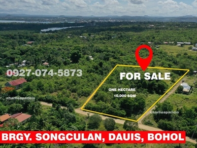 Lot For Sale In Songculan, Dauis