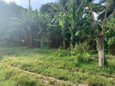 Lot For Sale In Talay, Dumaguete