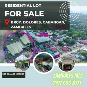House For Sale In Dolores, Cabangan