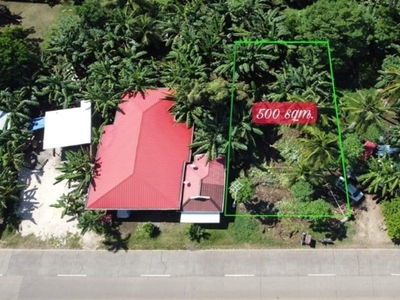 Lot For Sale In Danao, Panglao