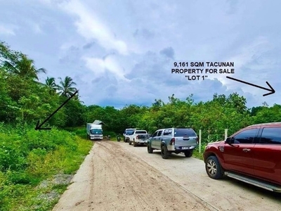 Lot For Sale In Tacunan, Davao