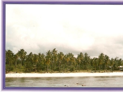 BEAUTIFUL BEACH LOT FOR SALE For Sale Philippines