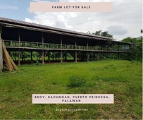 Bacungan, Puerto Princesa, Palawan Farm Lot