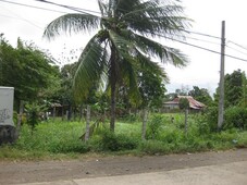 Paglaum Village Vacant Lot for Sale in Mansilingan, Bacolod City, Negros Occidental