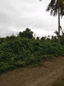 Lot For Sale In Abongan, Taytay