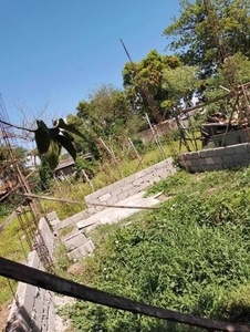 Lot For Sale In Mabini, Baras