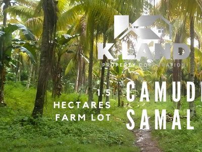 Lot For Sale In Camudmud, Island Of Garden Samal, Samal