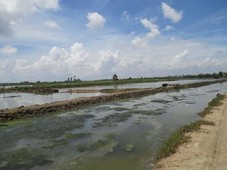 3 hectares fishpond