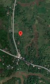 3.1 ha farm land in Ubay, Bohol