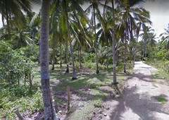 farm lot for sale in Balilihan Bohol 6.4 hectares
