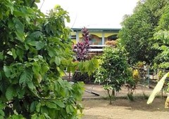 Rush Sale Farm with Fruit-bearing Trees and Big 2 storey House in LAGUNA