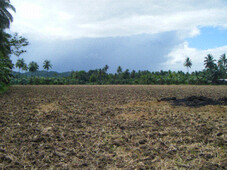 3.2 Agricultural/Industrial land For Sale Philippines