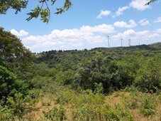lot for sale in alta monte over looking!