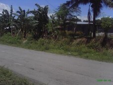 mango and lemon farm with house For Sale Philippines