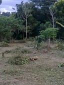 Plot of land Indang, Cavite For Sale Philippines