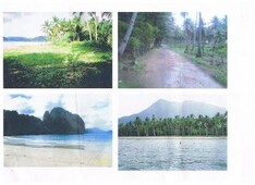 tittled palawan beach lot For Sale Philippines