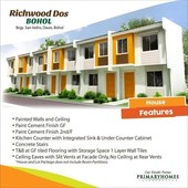 PRE-SELLING Townhouse @ PANGLAO (Richwood Homes Dos)