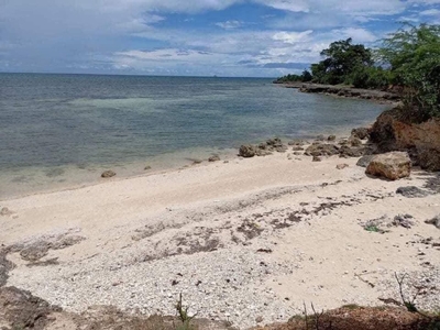Beach Lot for Sale in Daanbantayna Cebu (for Assume or Pasalo)