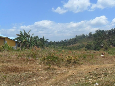 144,121 Sqm Agriculture For Sale