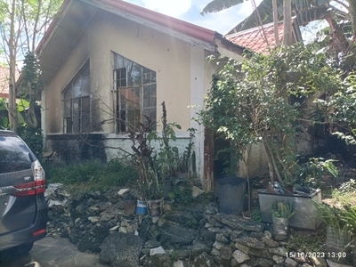 House For Sale In Bagumbayan, Teresa