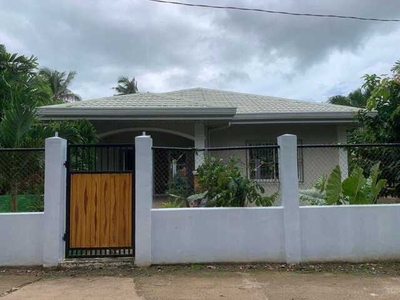 House For Sale In Tawala, Panglao