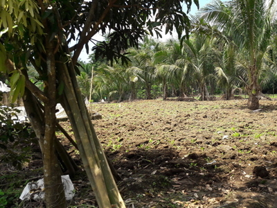 Lot For Sale In Ilayang Palina, Liliw