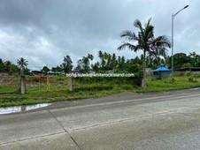 Tagum City Commercial Lot Along a Busy Avenue Terms Negotiable