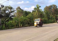 LOT FOR SALE in PANGLAO 5280 SQM Php 18,480,000.00
