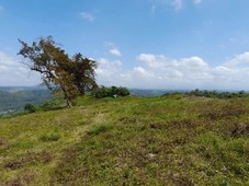 Clean TITLED proposed Residential Lot in Lumbia