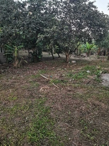 3,000 sqm Residential Farm Lot for Sale in Harasan, Indang, Cavite
