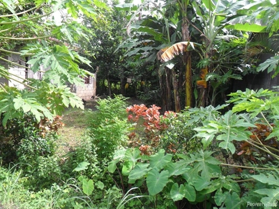 120 Sqm Residential Land/lot For Sale